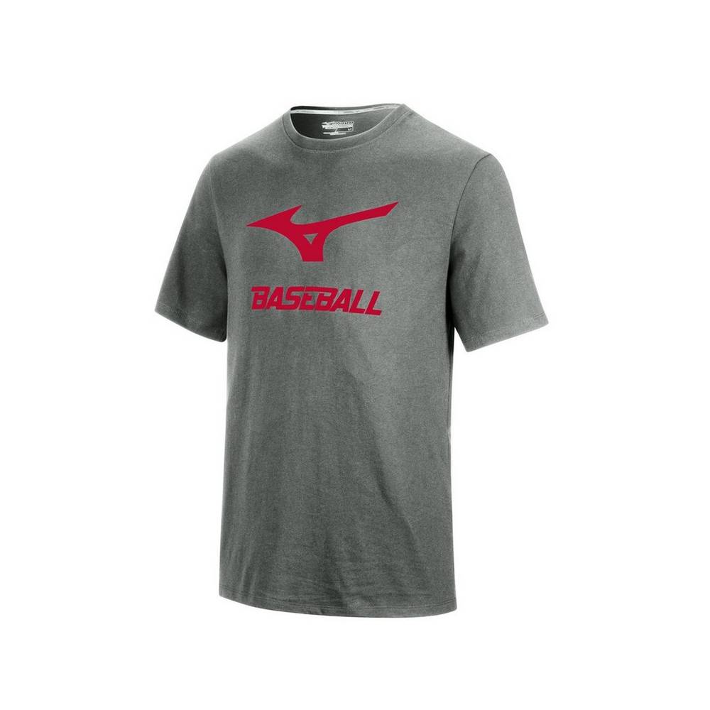 Camisetas Mizuno Graphic Hombre Gris Ofertas YMBS-35287